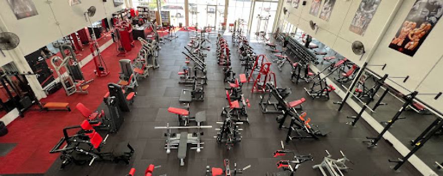 Vigor Gym