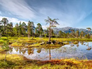 Ånderdalen National Park
