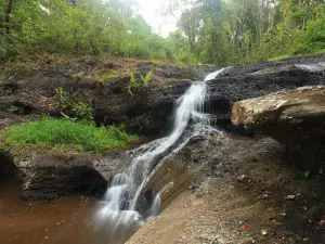 Taman Kota Kapet