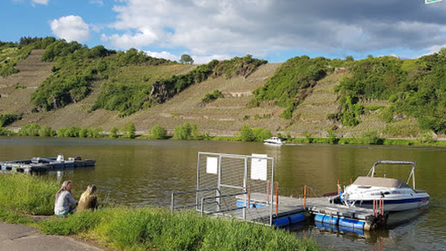 Campingplatz Mehringer Schweiz