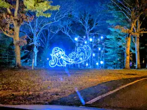 Taylorville Park District