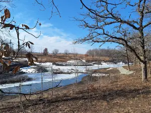 McFarland Park