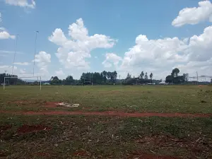 Rongo Show Ground