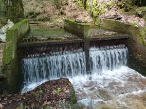 Gabrovo Waterfalls