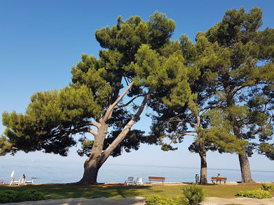 Beach Parentino (ex.Pical/Zagreb)