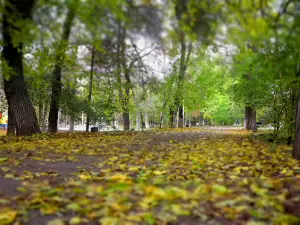 Городской парк