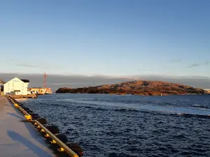 Hurtigruten Arrival & Departure Rørvik