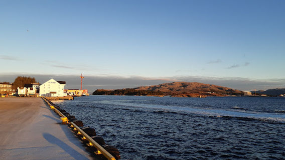 Hurtigruten Arrival & Departure Rørvik