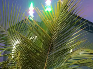 Masjid E Maarsa H Umar Bin Khattab