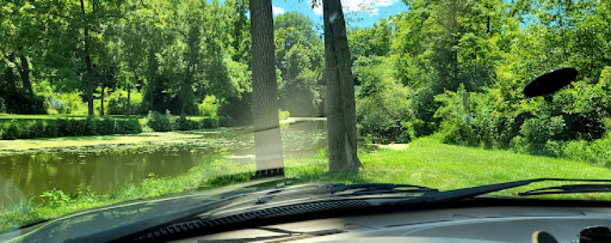 Wildcat Springs Park