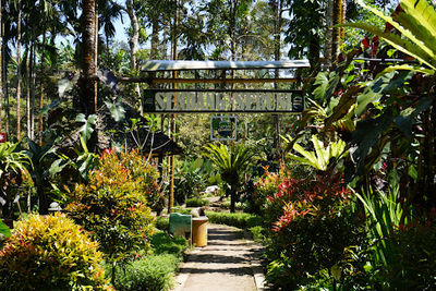 Sendang Seruni (Natural Swimming Pool)