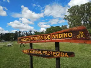 Circuito Mtb Andino