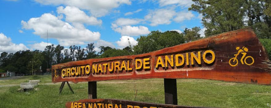 Circuito Mtb Andino