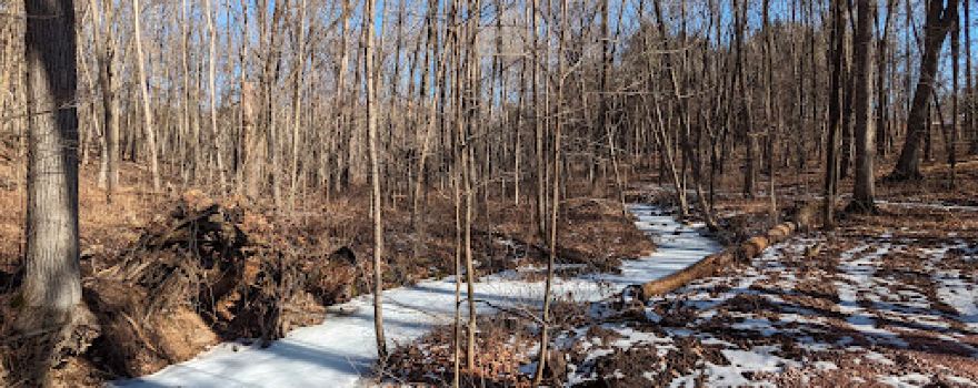 Listeman Arboretum