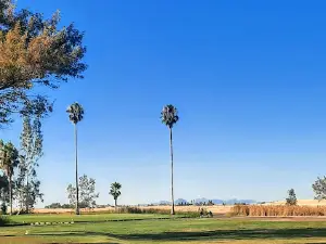 Table Mountain Golf Course