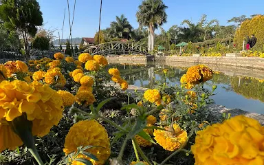 Matai Garden