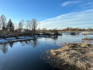 Wooden boardwalks at the flood-land meadows of the River Svēte