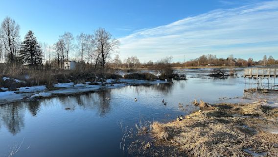 Wooden boardwalks at the flood-land meadows of the River Svēte