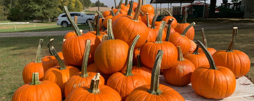 Pumpkin Creek Farms