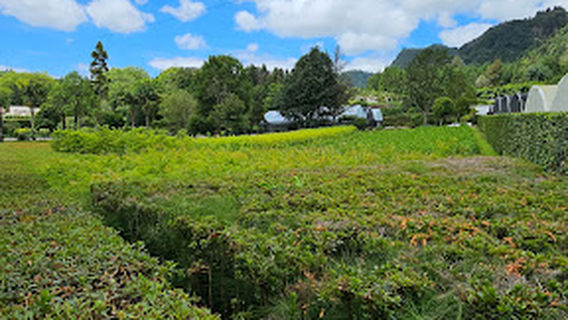 Reserva Florestal de Recreio do Viveiro das Furnas