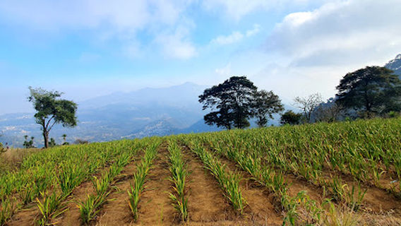 Mirador El Calvario