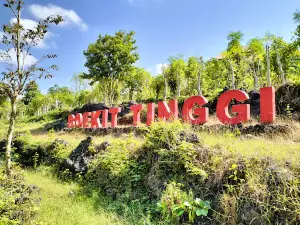 Boekit Tinggi Daramista