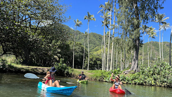 Hawaiian Aloha Treasures 808 LLC