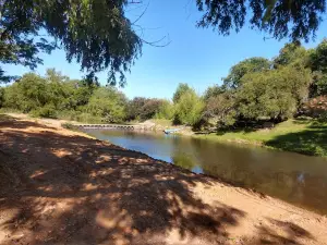 El Rocha
