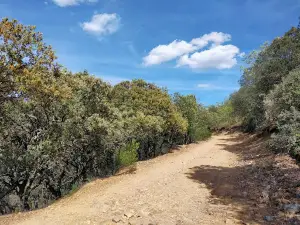 Caseta Parque Cabañeros