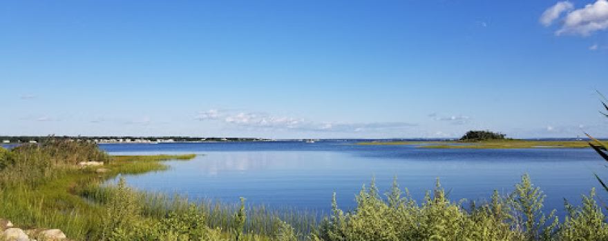 Silvershell Beach