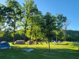 Eagle Cliff Campground