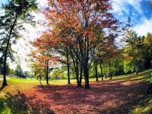 Paradise Lakes Family Campground