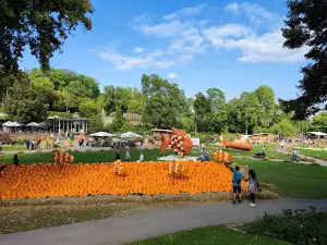 Kürbisausstellung Ludwigsburg