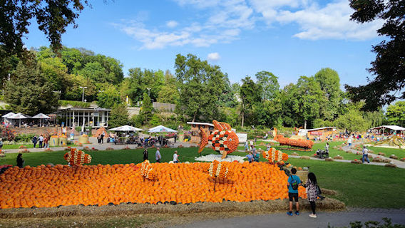Kürbisausstellung Ludwigsburg