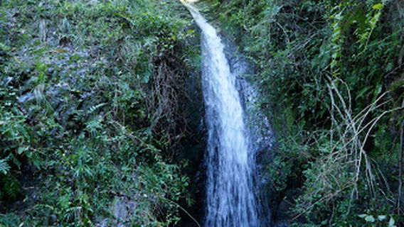 Dodogamine Summit Lookout Point