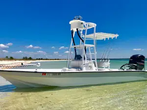 Perfect Cast Charters