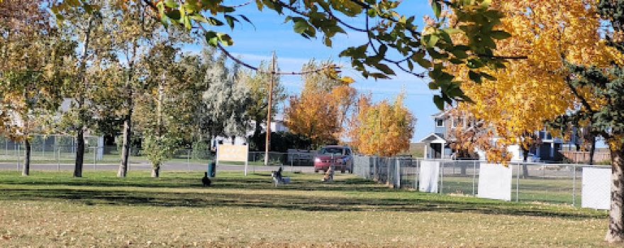 Picture Butte Off-leash Area