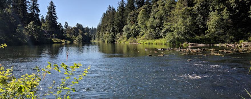 Fields Bridge Park