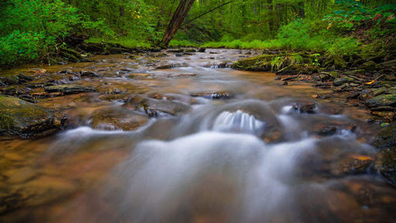 Fishing Creek Scalpy Hollow Nature Preserve