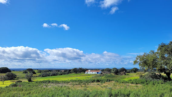 Necrópole de Cistas das Casas Velhas