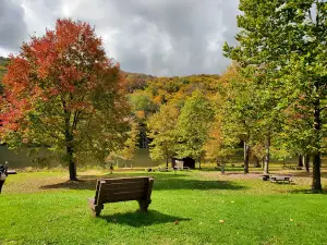 Bear Spring Mountain Campground