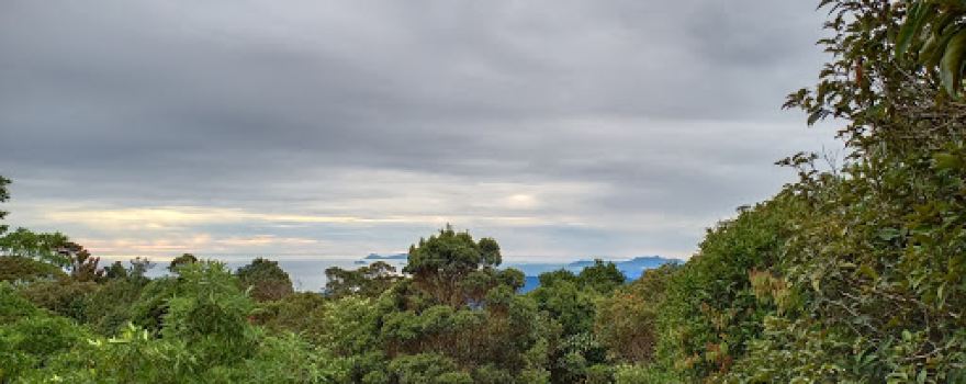 Mount Rumput