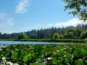 Fish Lake Regional Park
