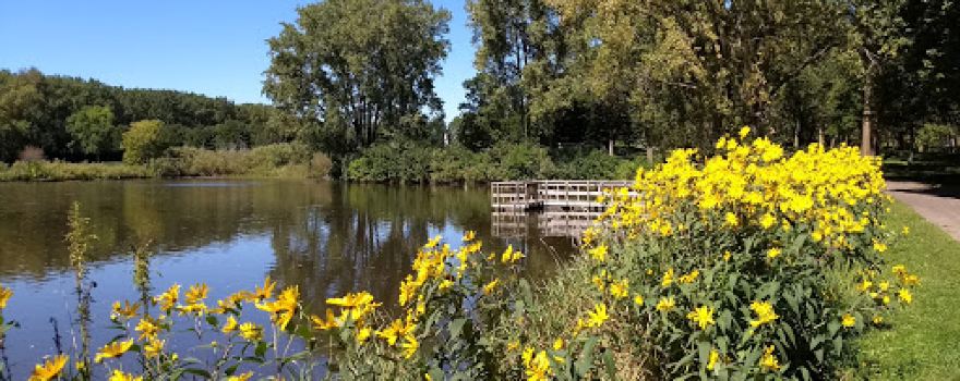 Bassett Creek Park