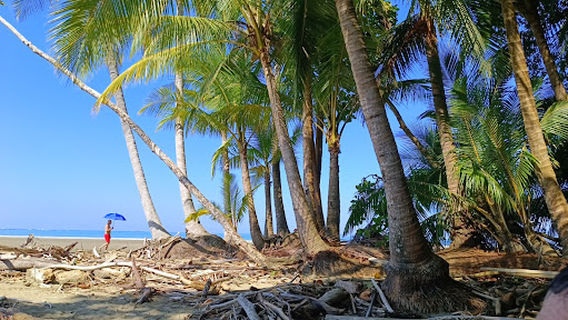 Playa Uvita