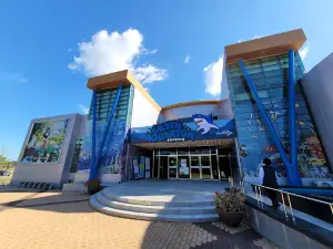 Uljin Aquarium