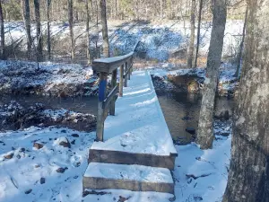 Black Fork Mountain Trail
