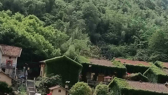 Luocheng