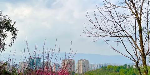 達州市大寨子公園