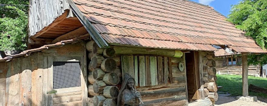 Salas Travičná